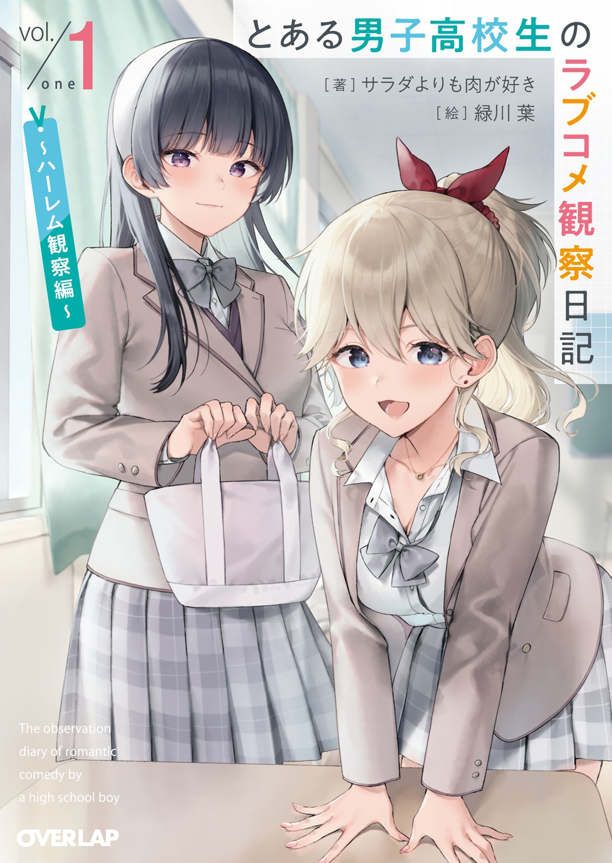 とある男子高校生のラブコメ観察日記 1　～ハーレム観察編～