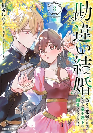 勘違い結婚 3　偽りの花嫁のはずが、なぜか竜王陛下に溺愛されてます！？