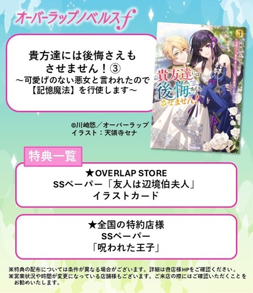 貴方達には後悔さえもさせません！③　～可愛げのない悪女と言われたので【記憶魔法】を行使します～