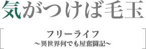 気がつけば毛玉