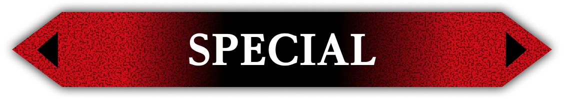 スペシャル