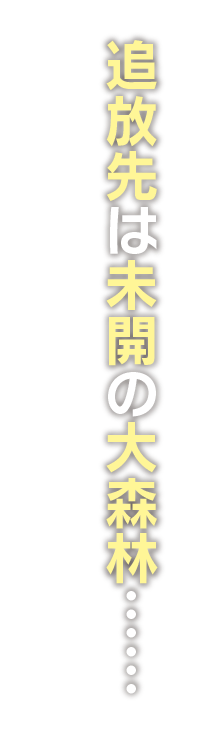 追放先の領地は未開の大森林……