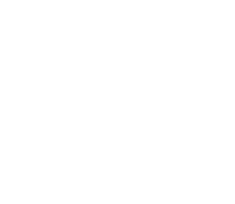 史上最年少で宮廷錬金術師となったアメリア。<br>
                    その類を見ない才能に嫉妬した人たちからの嫌がらせに耐えながらも<br>
                    前向きに働いていたある日、突然の婚約破棄と追放を命じられてしまう。<br>
                    しかしアメリアは、やっとブラックな職場からやっと解放されると大喜び。<br>
                    そんななか、偶然再会した幼馴染のトーマが治める辺境領地へ赴くことに！<br>
                    だがそこは、異常気象や不毛などたくさんの問題を抱えていて――!?<br>
                    「温かな居場所をくれたみんなのために、錬金術で領地開拓はじめます！」<br>
                    常識外れのアイデアで、オリジナルの素材やポーションを次々開発！<br>
                    気づけばアメリアは、領地に欠かせない存在になっていて……？<br>
                    規格外錬金術師の恩返し領地改革計画、始まります！