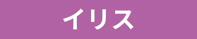 イリス